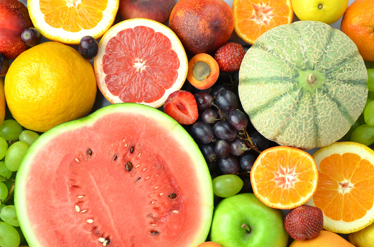 無脊椎動物與水果 自然界中的奇妙組合