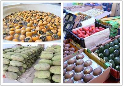 禪城南莊大型水果批發(fā)市場開業(yè)，市民迎來“水果自由”新選擇