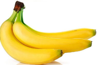 香蕉與無脊椎動物 一場意外的營養(yǎng)聯(lián)想