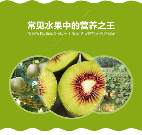 浙江上虞章鎮(zhèn)紅心獼猴桃 綠色健康的江南珍果